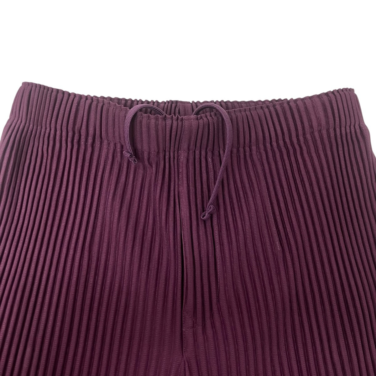 HOMME PLISSE ISSEY MIYAKE PLEATS BOTTOMS 1 デザインプリーツトラウザー 古着・中古-3枚目のアイテム画像
