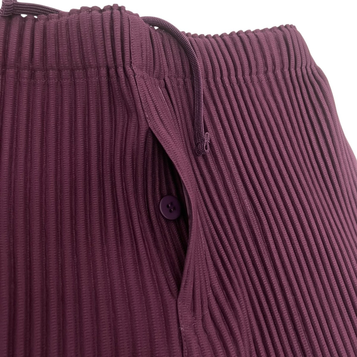 HOMME PLISSE ISSEY MIYAKE PLEATS BOTTOMS 1 デザインプリーツトラウザー 古着・中古-4枚目のアイテム画像