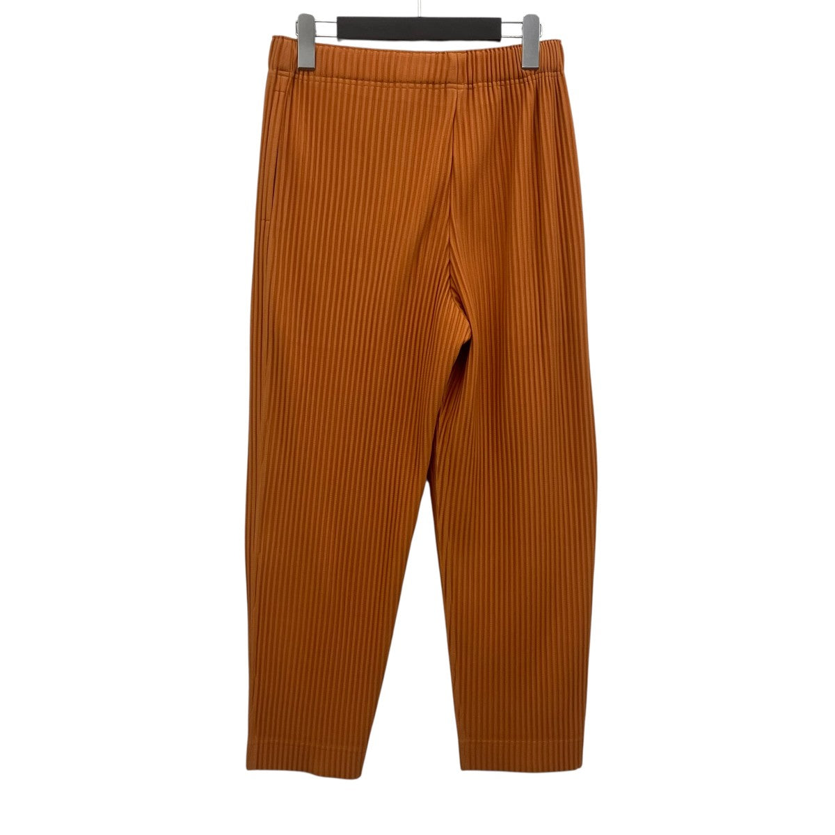 HOMME PLISSE ISSEY MIYAKE MONTHLY COLORS ： MARCH プリーツパンツ 古着・中古-2枚目のアイテム画像