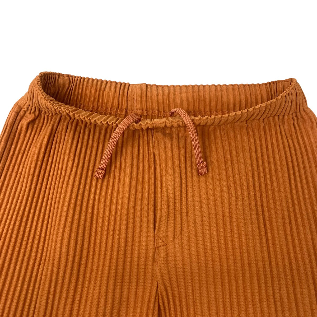 HOMME PLISSE ISSEY MIYAKE MONTHLY COLORS ： MARCH プリーツパンツ 古着・中古-3枚目のアイテム画像
