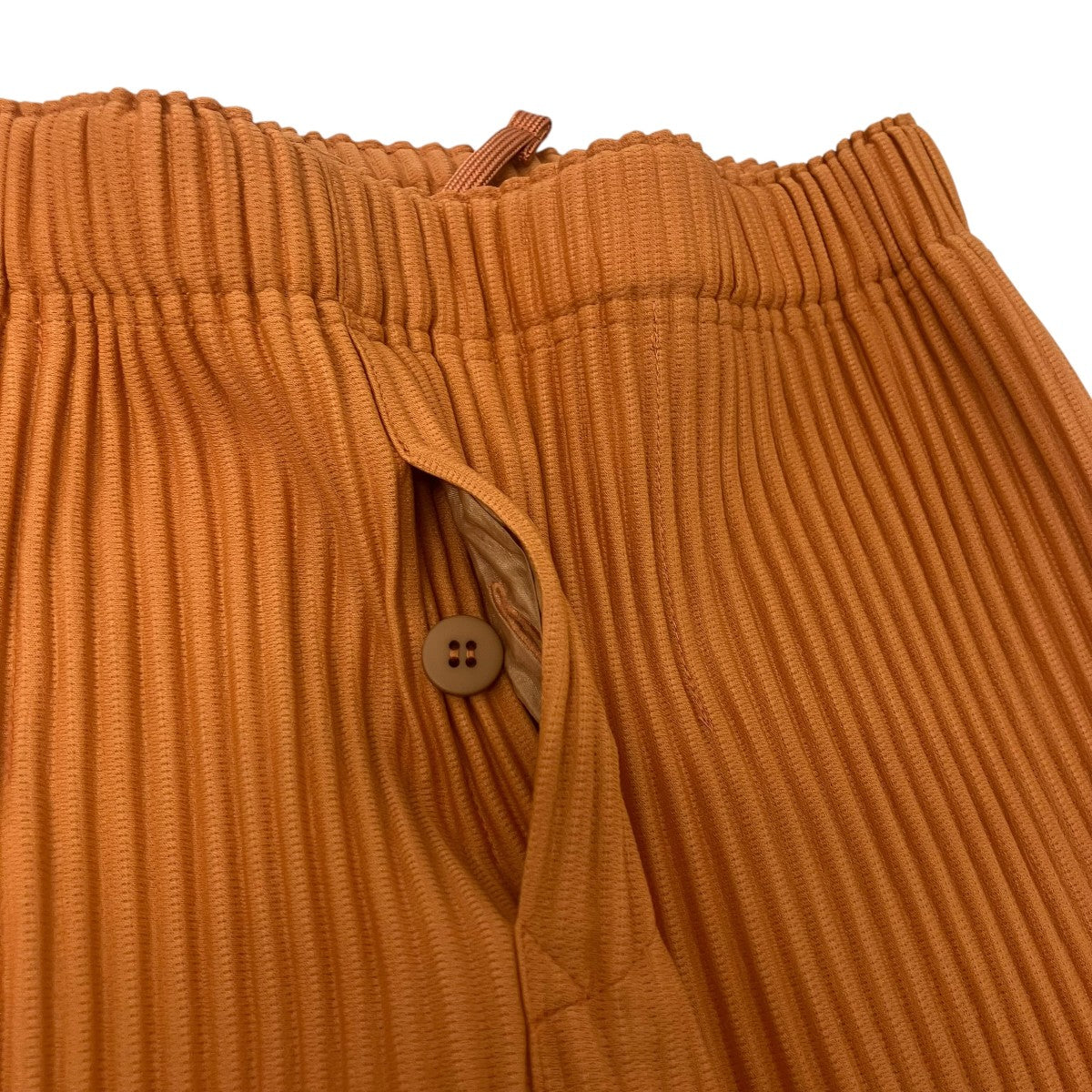 HOMME PLISSE ISSEY MIYAKE MONTHLY COLORS ： MARCH プリーツパンツ 古着・中古-4枚目のアイテム画像
