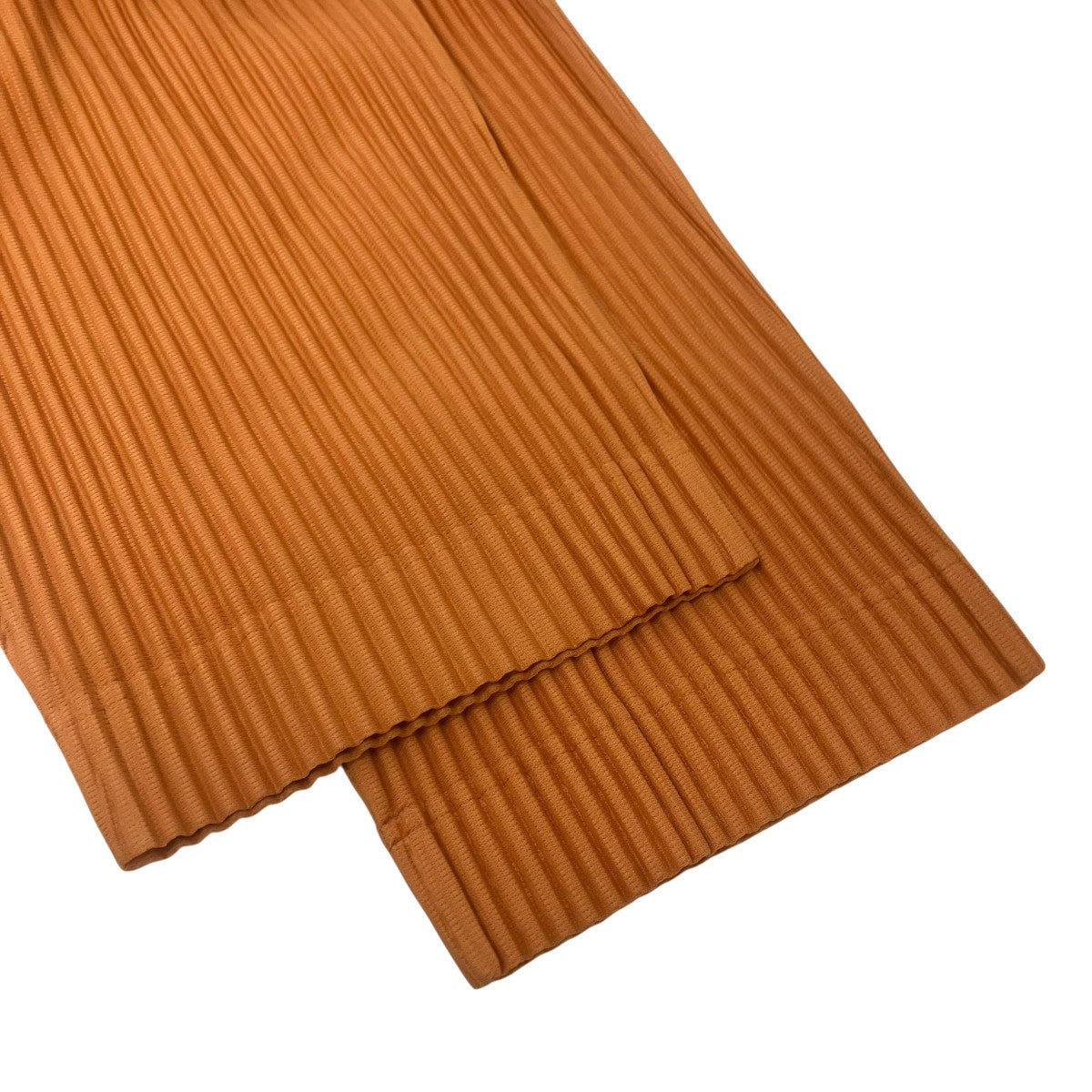 HOMME PLISSE ISSEY MIYAKE MONTHLY COLORS ： MARCH プリーツパンツ 古着・中古-5枚目のアイテム画像