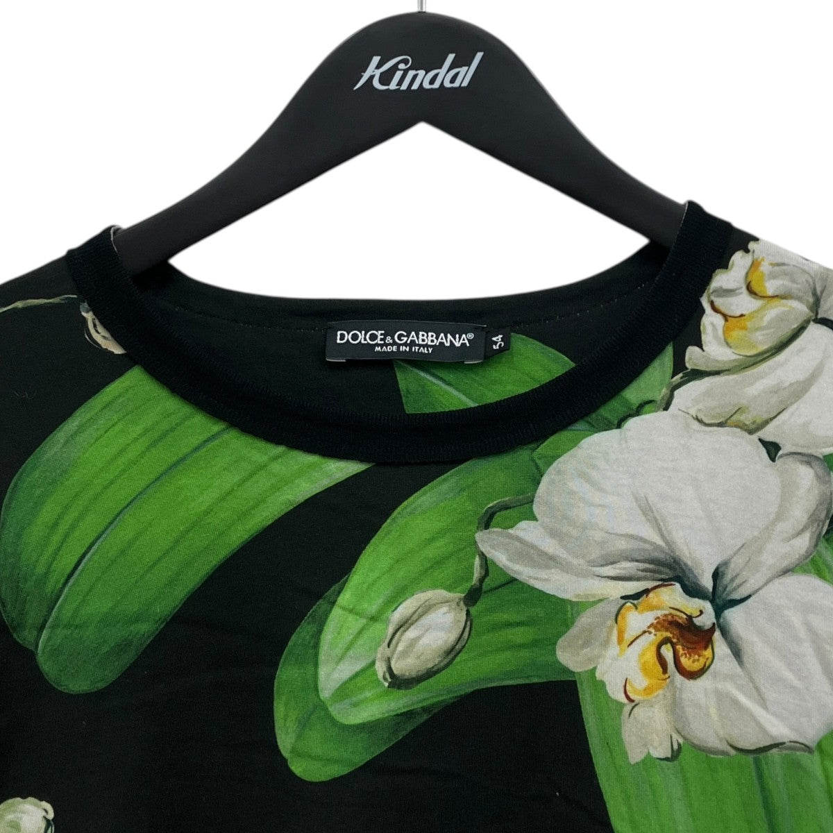 Ｔシャツ