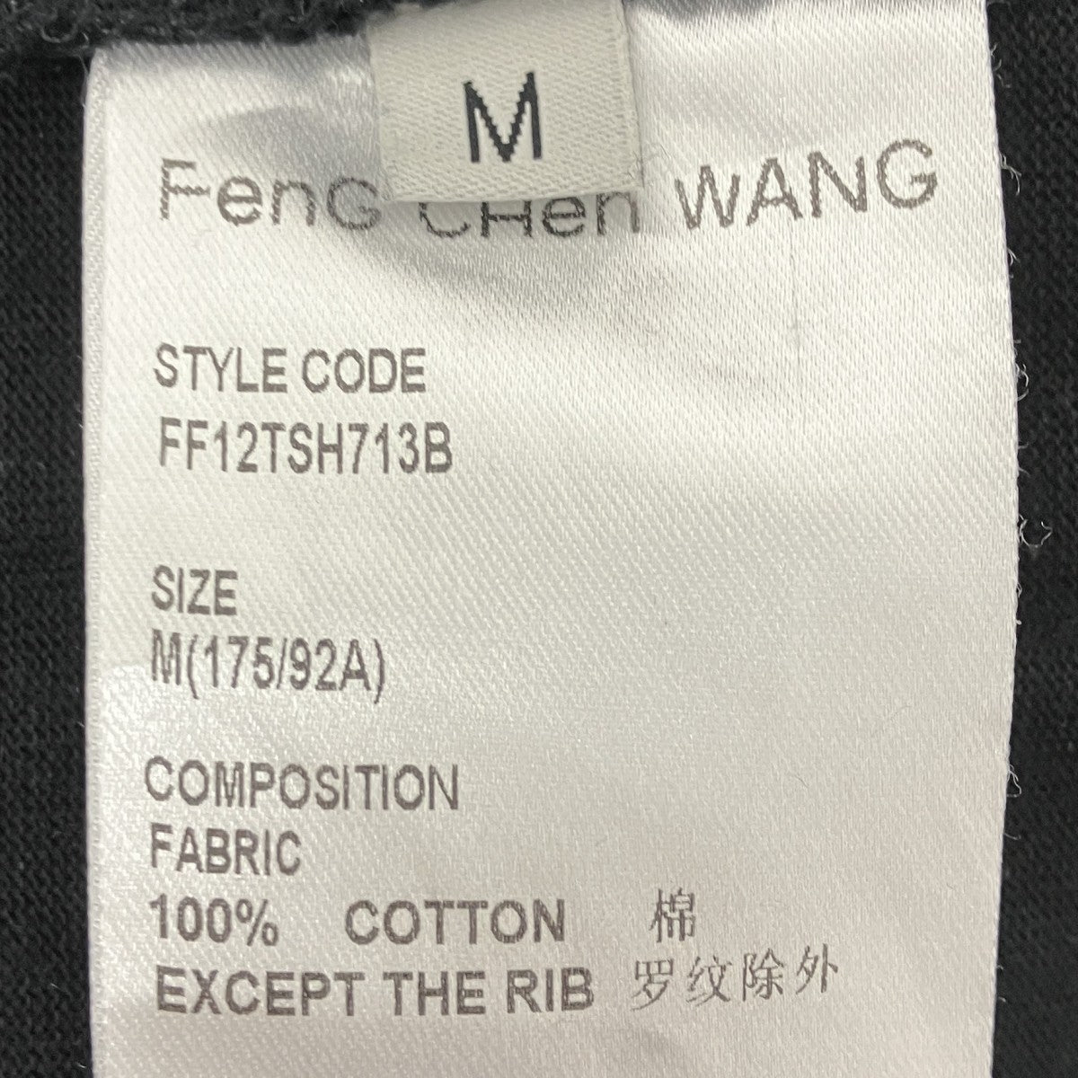 Tシャツ