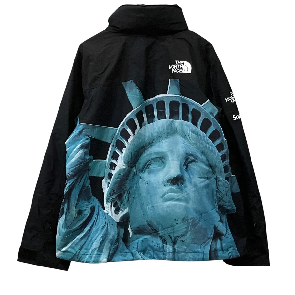 Supreme×THE NORTH FACE Statue of Liberty Mountain Jacket マウンテンジャケット 古着・中古-2枚目のアイテム画像
