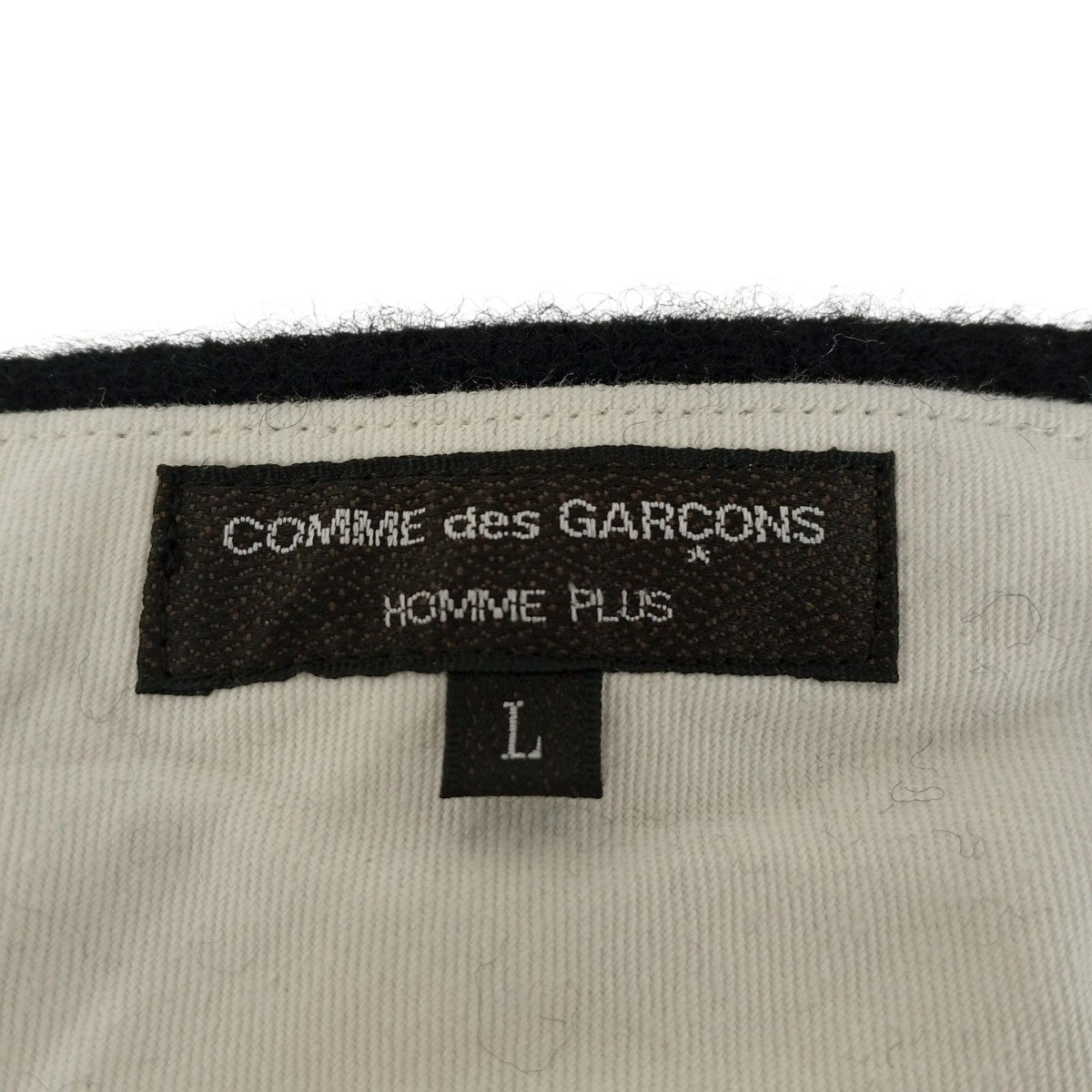 COMME des GARCONS HOMME PLUS(コムデギャルソンオムプリュス) 24AW