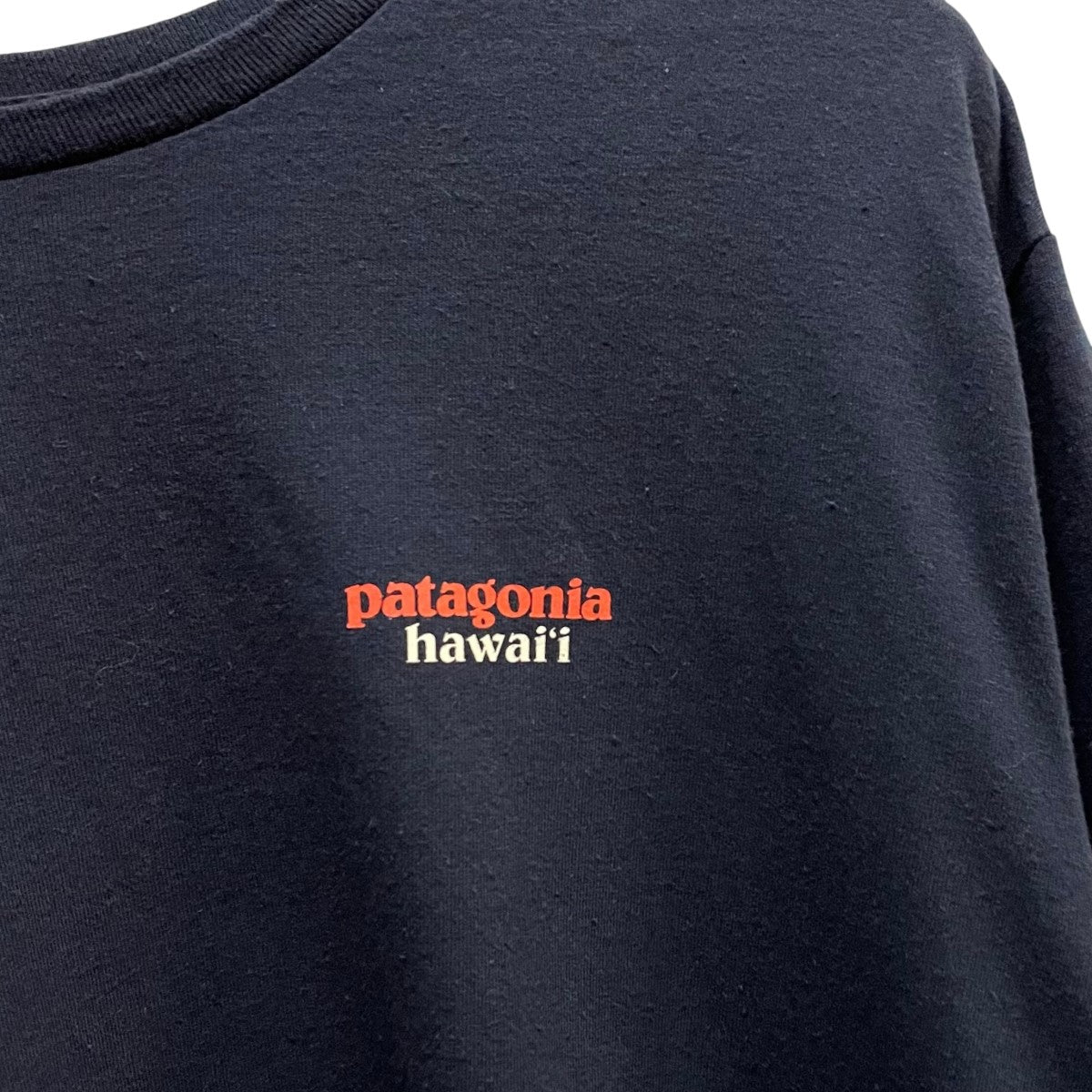 Patagonia(パタゴニア) ハワイ限定ロゴカットソー37815SP25