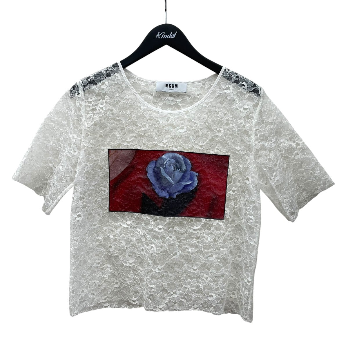 シアーTシャツ