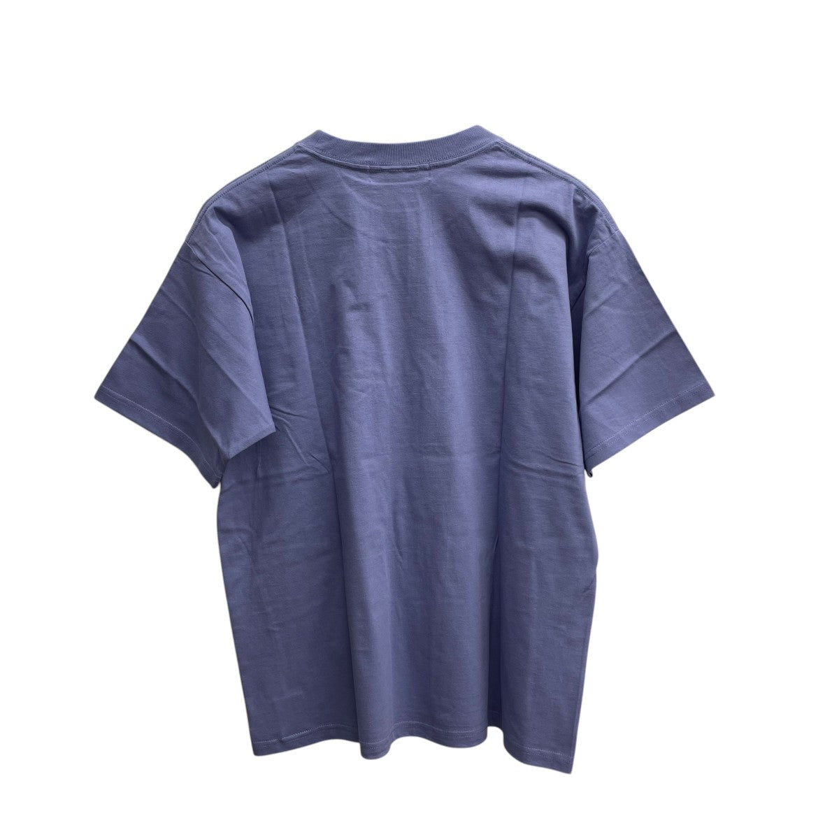 Diaspora skateboards Puppy TeeプリントTシャツ25SS-DSP-ST01 古着・中古-2枚目のアイテム画像