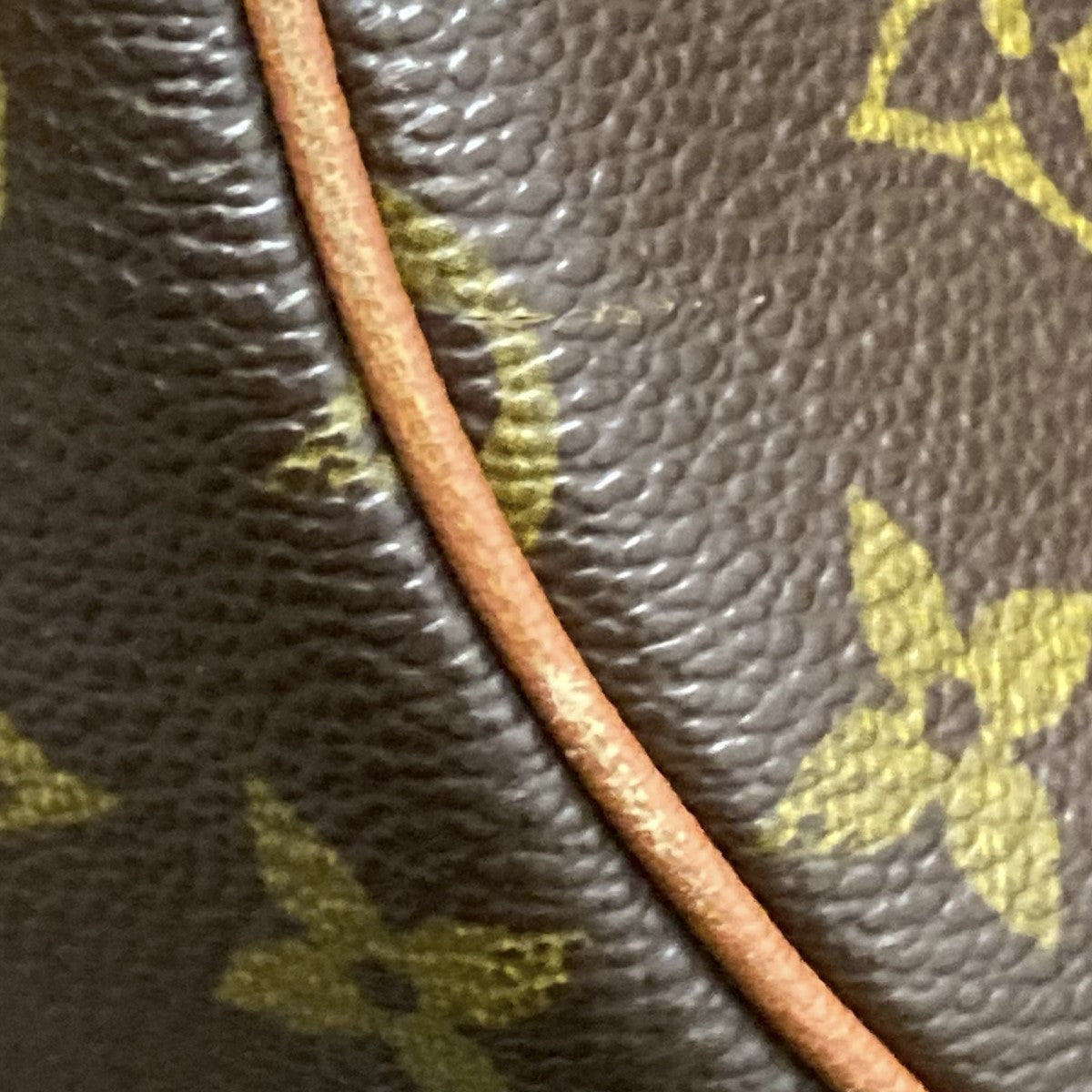 パピヨンGMハンドバッグM51365