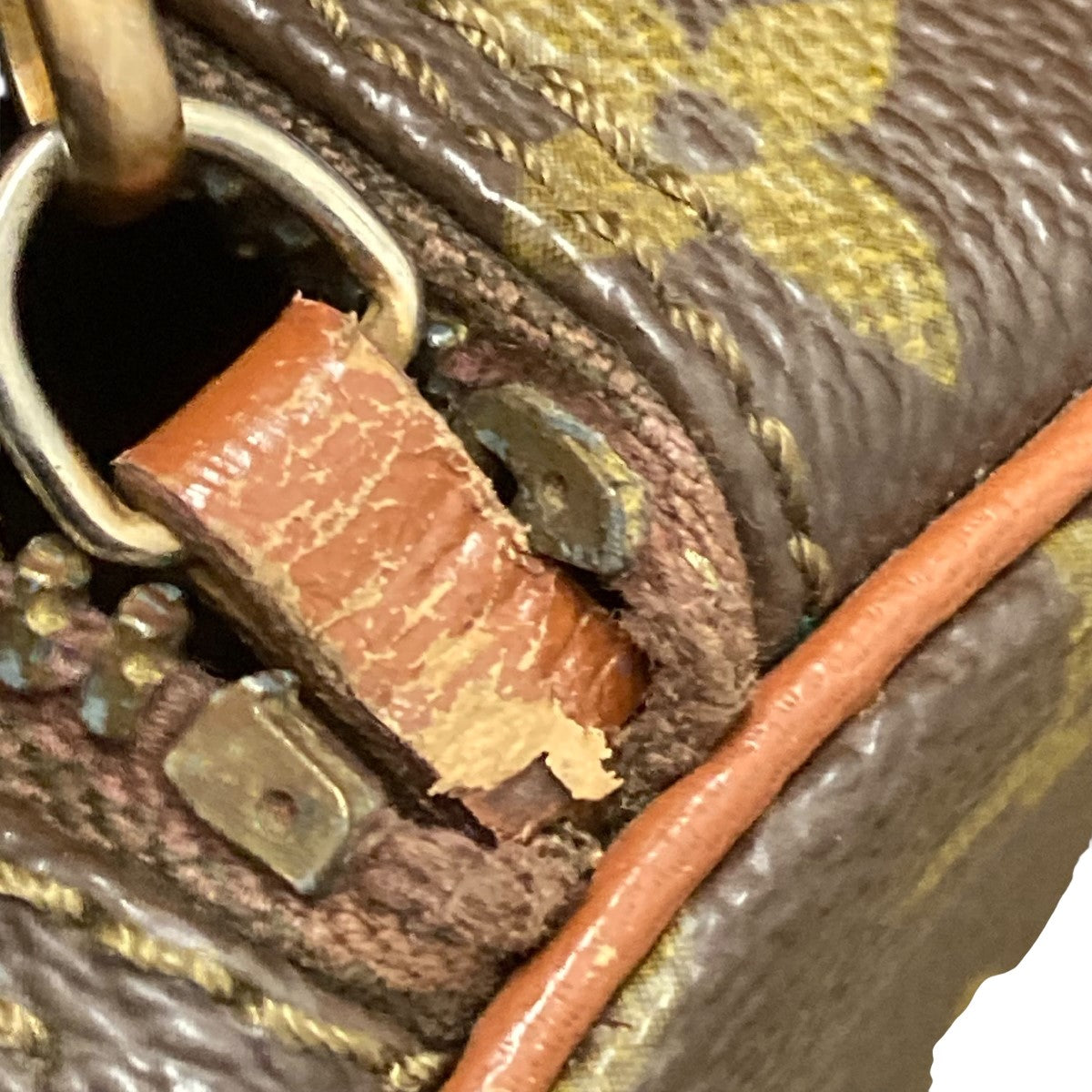 パピヨンGMハンドバッグM51365