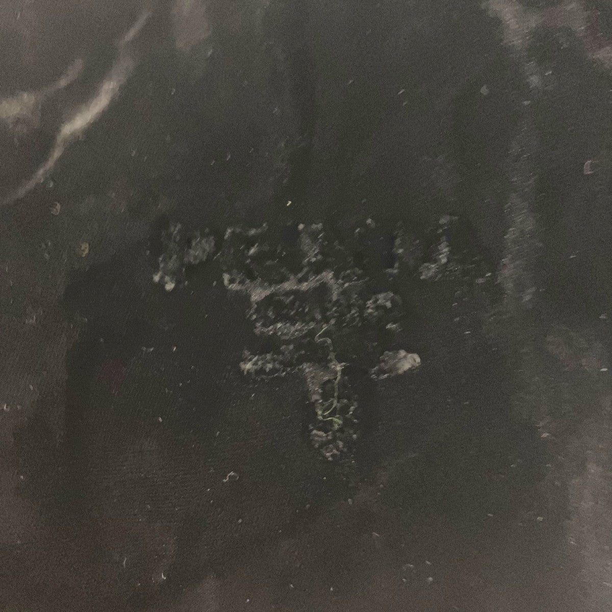 ヒップロゴベロアパンツSPH180