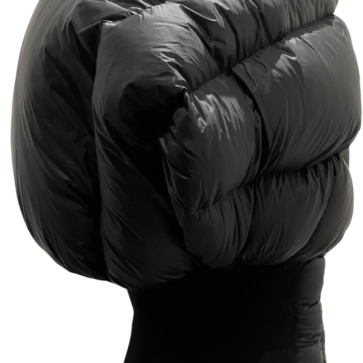 RICK OWENS 24AWダウンジャケットRO02D3790 古着・中古-5枚目のアイテム画像