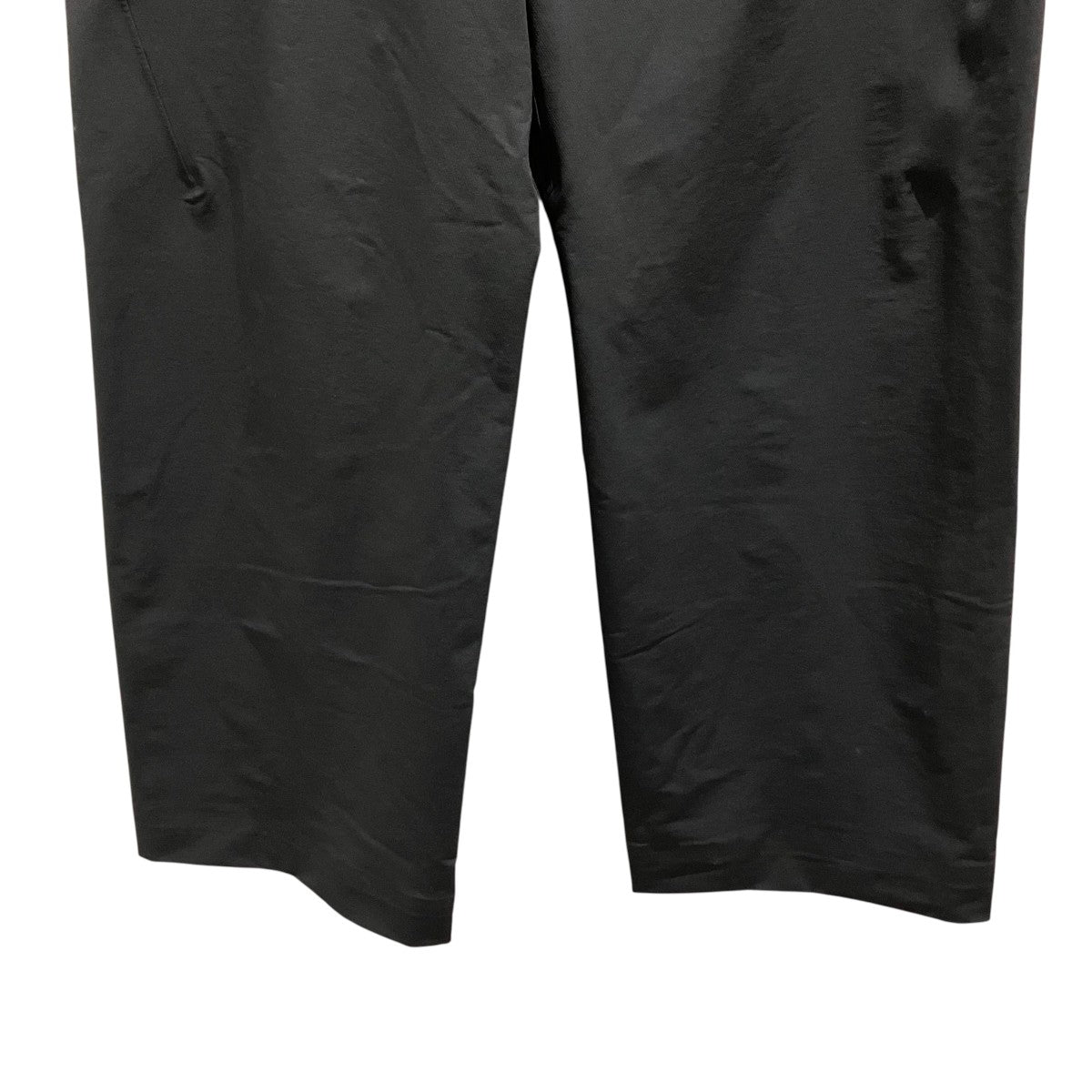 ARC’TERYX VEILANCE 【CORBEL PANT】ナイロンパンツX000007286 古着・中古-4枚目のアイテム画像