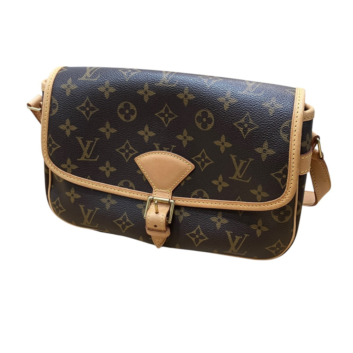 LOUIS VUITTON ショルダーバッグ 古着・中古-1枚目のアイテム画像