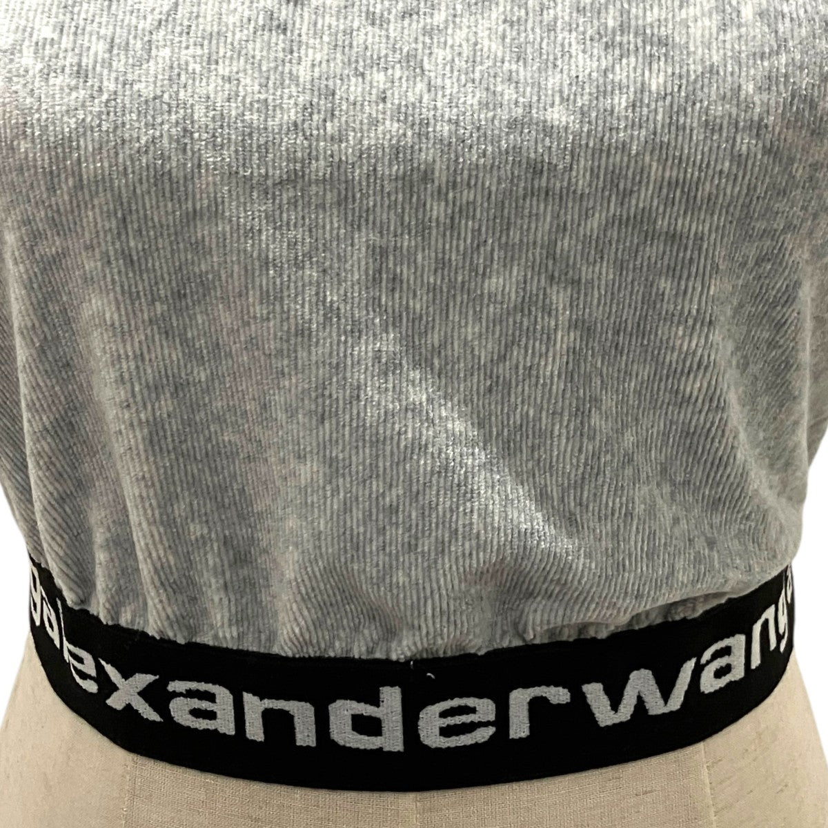 ALEXANDER WANG 半袖パーカー 古着・中古-5枚目のアイテム画像