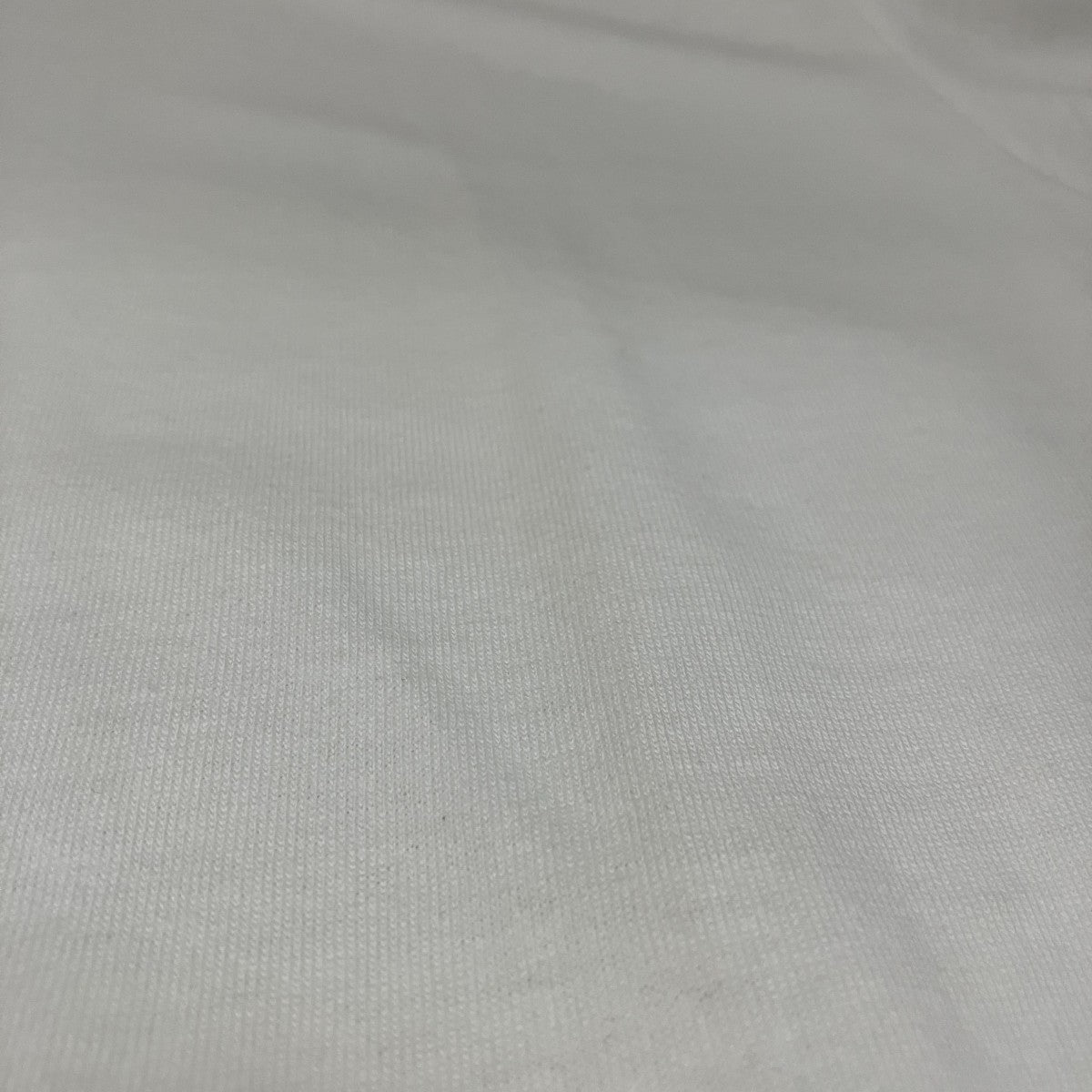 stussy(ステューシー) 90s【OKAY BIG BOY】半袖Tシャツ ホワイト