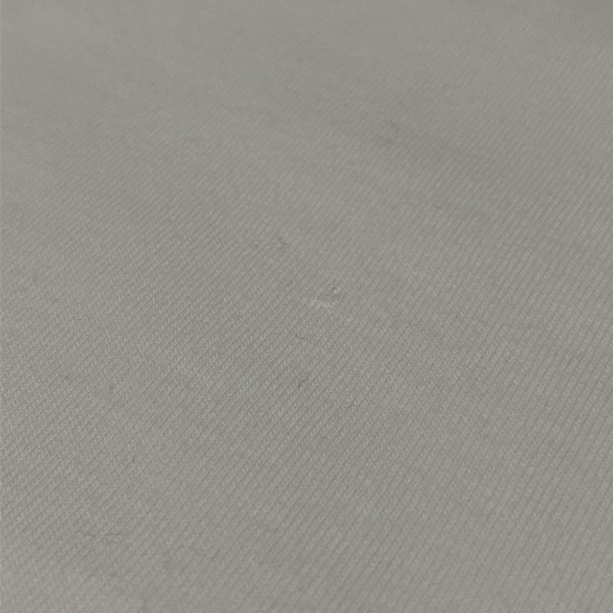 ベアプリントＴシャツ752204