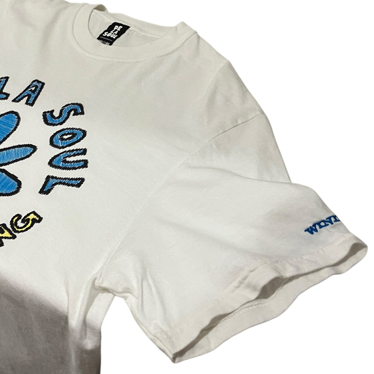 プリントTシャツWDS=D=DLS-26-Q4-CS-05