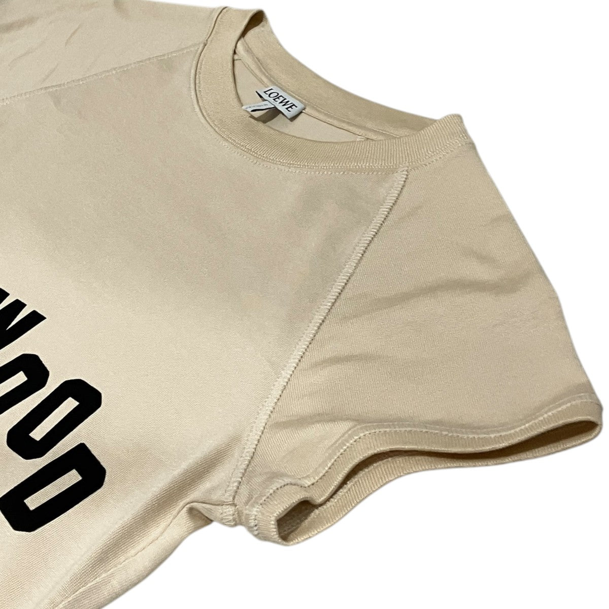プリントTシャツS359Y22X73