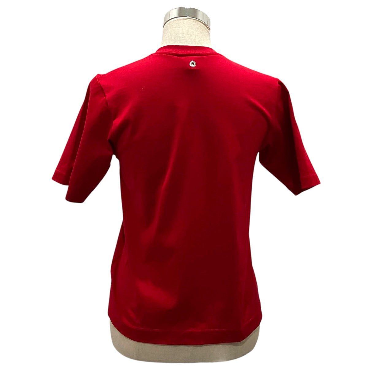 【COTTON JERSEY COMPACT T-SHIRT】シアーTシャツ23SCU003