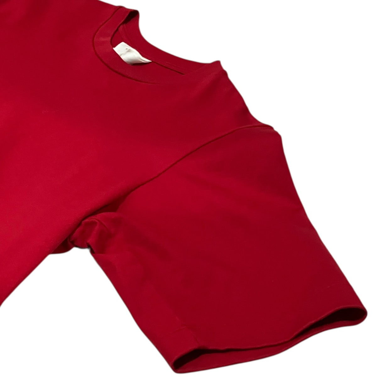 【COTTON JERSEY COMPACT T-SHIRT】シアーTシャツ23SCU003