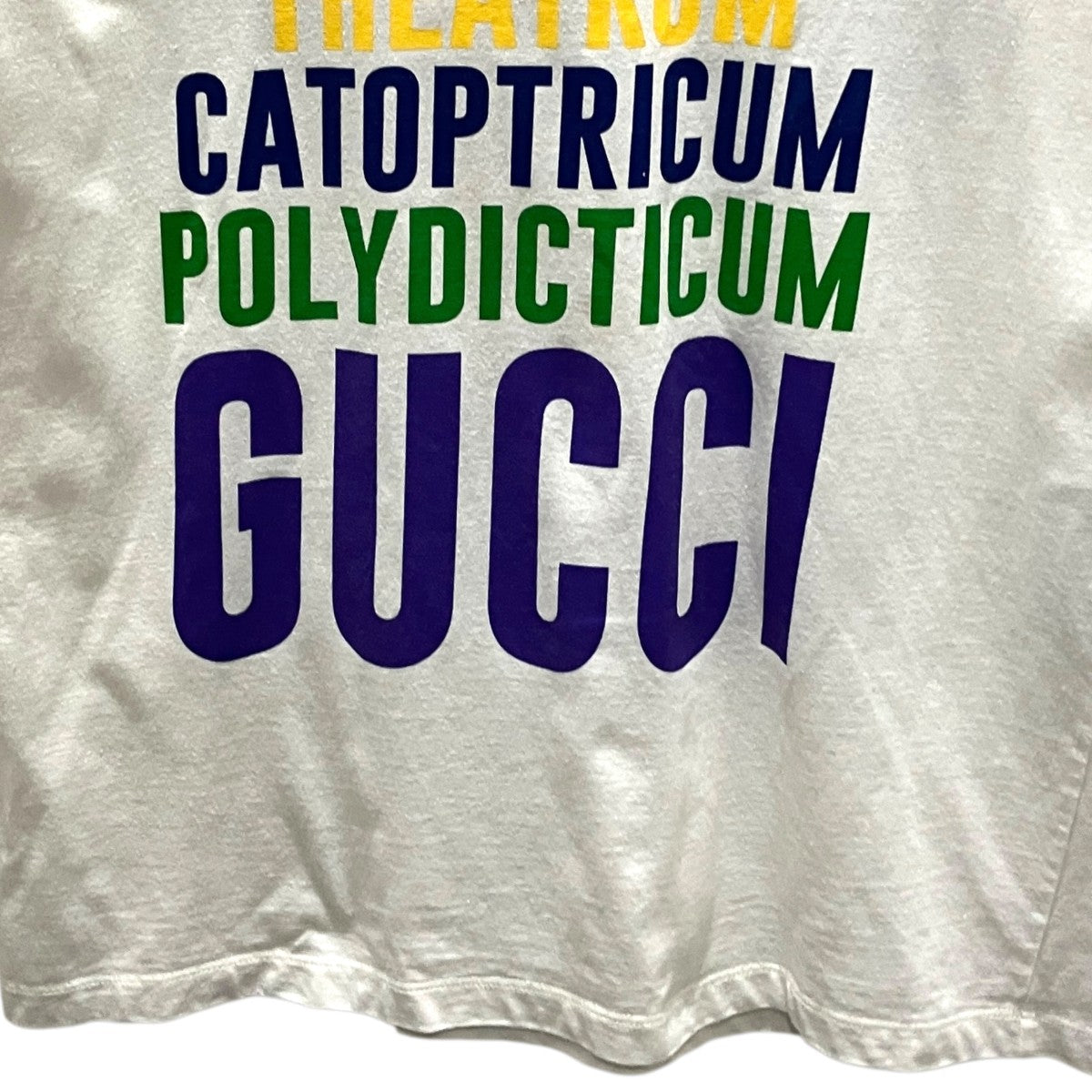 22AW半袖Tシャツ717422