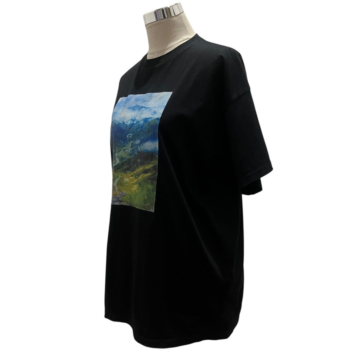 26SSプリントTシャツ470JS080-2091
