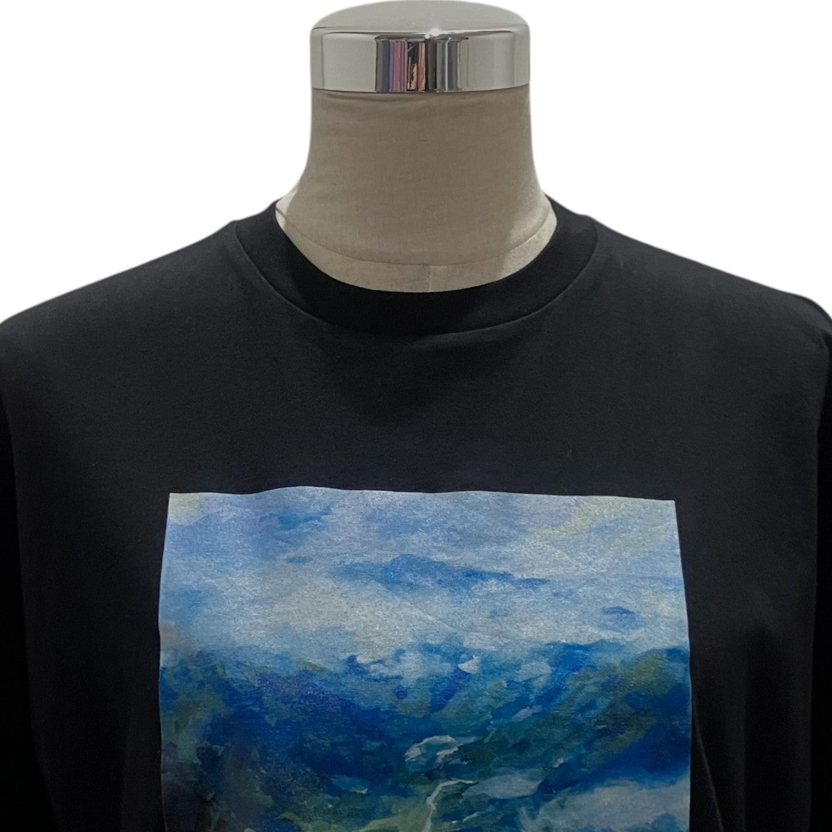 26SSプリントTシャツ470JS080-2091