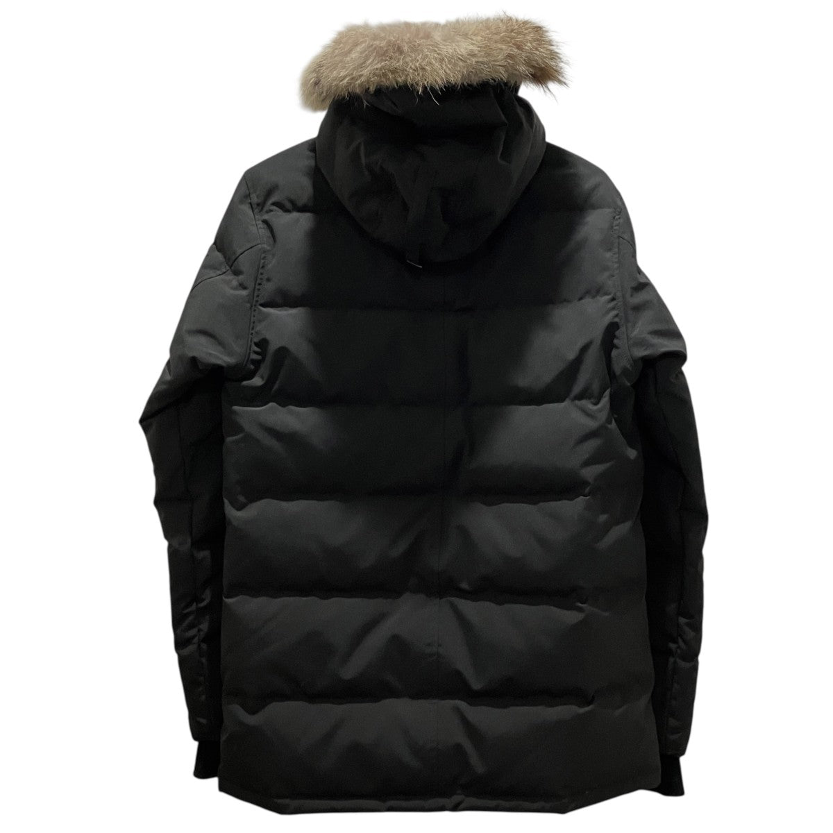 【CARSON PARKA】ダウンジャケット3805MA