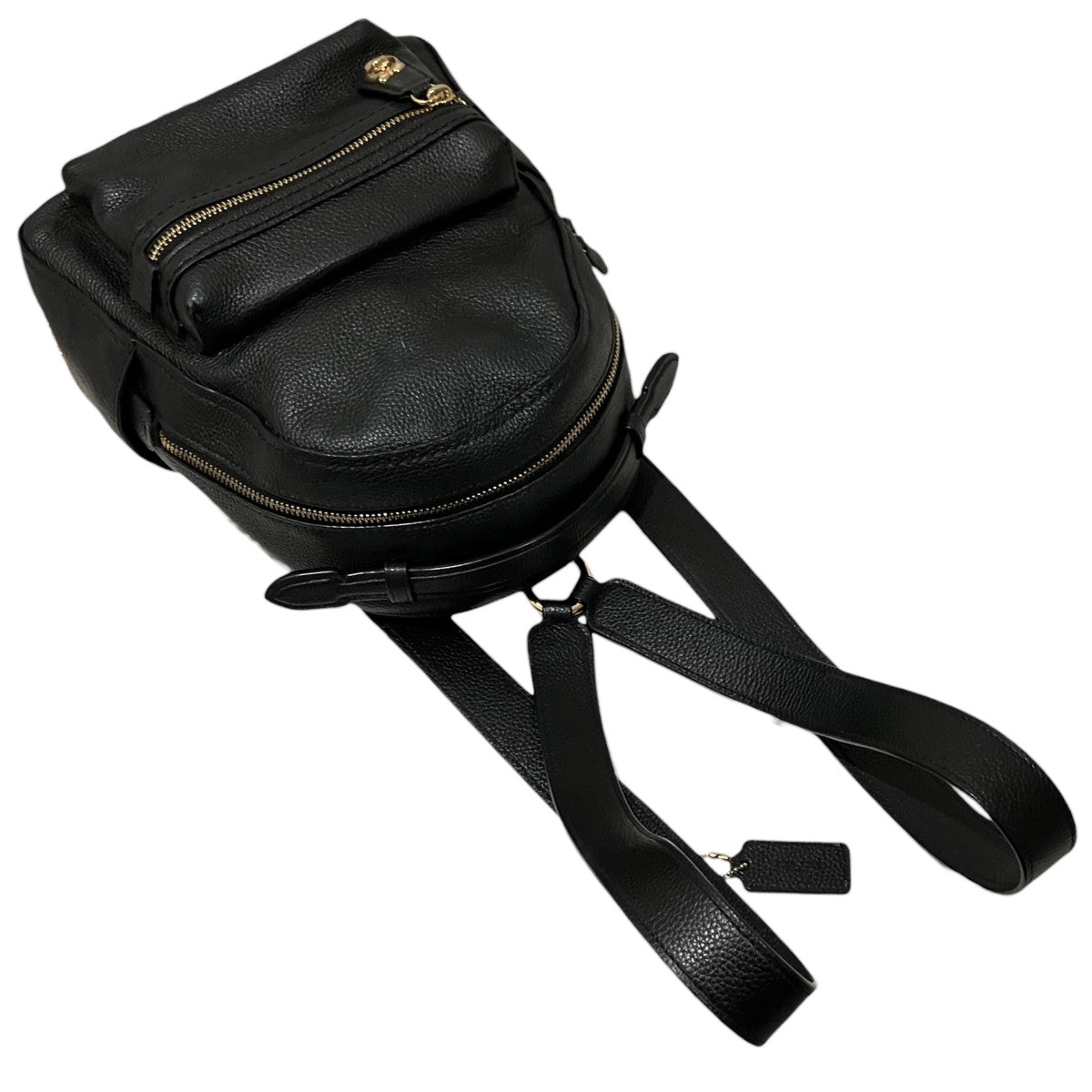 COACH(コーチ) 【キャンパスバックパック23】レザーリュックK1880