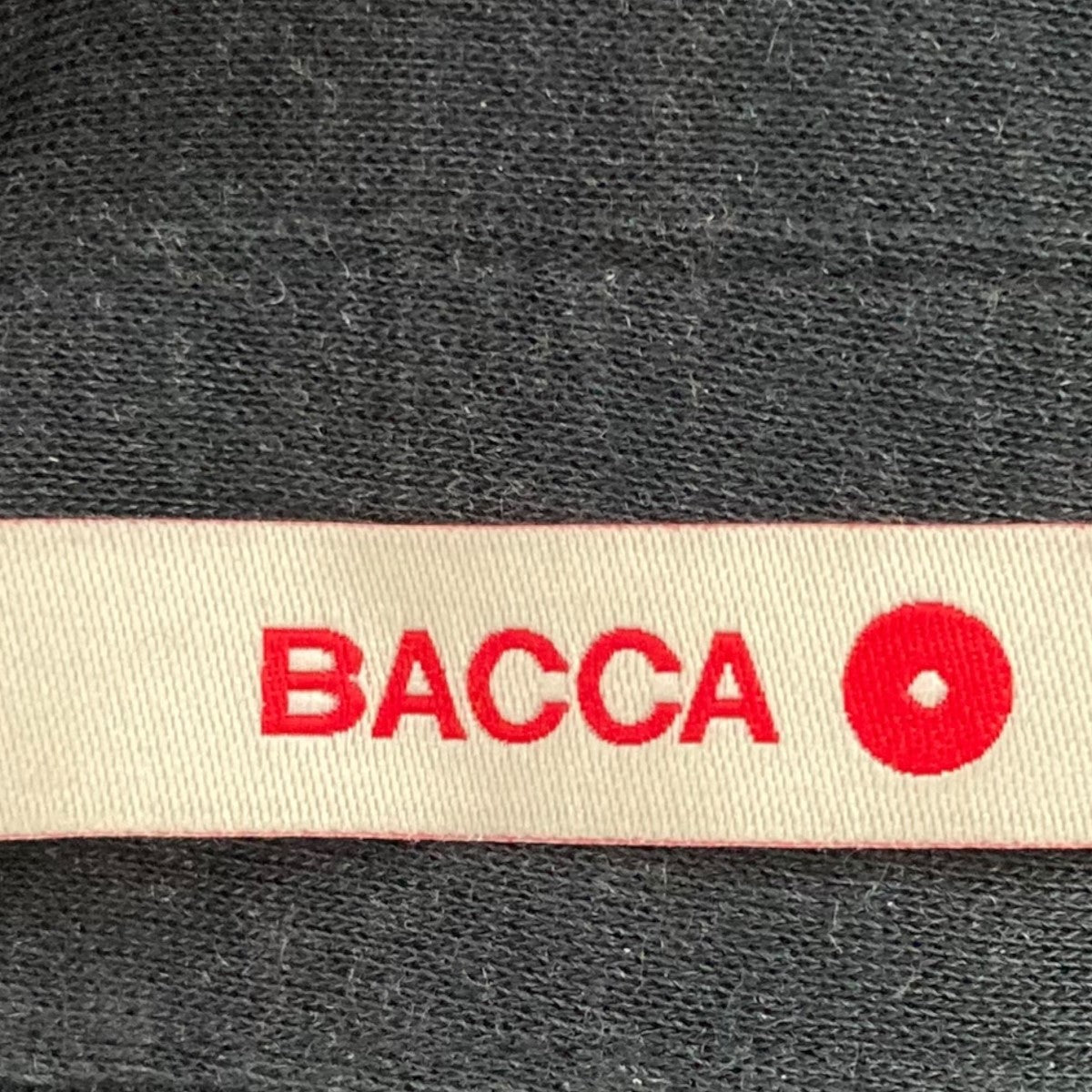 【BACCA】シルクジャージーシャツカットソー バッカ BACCA シルクジャージーシャツカットソー （17