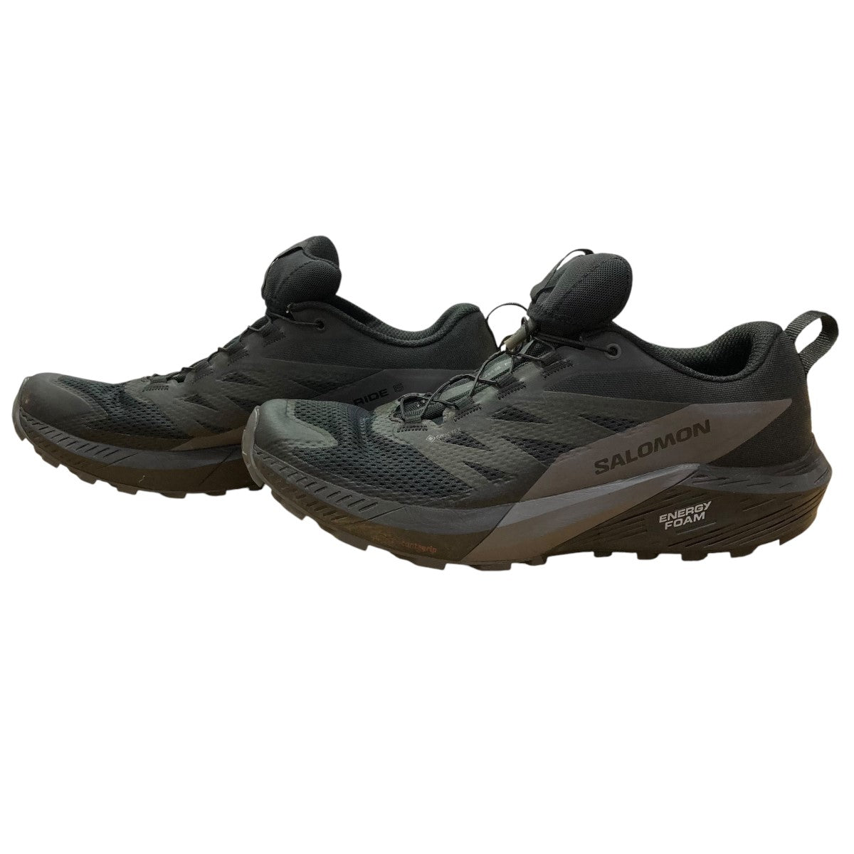 SALOMON(サロモン) SENSE RIDE 5 GTXローカットスニーカー471472