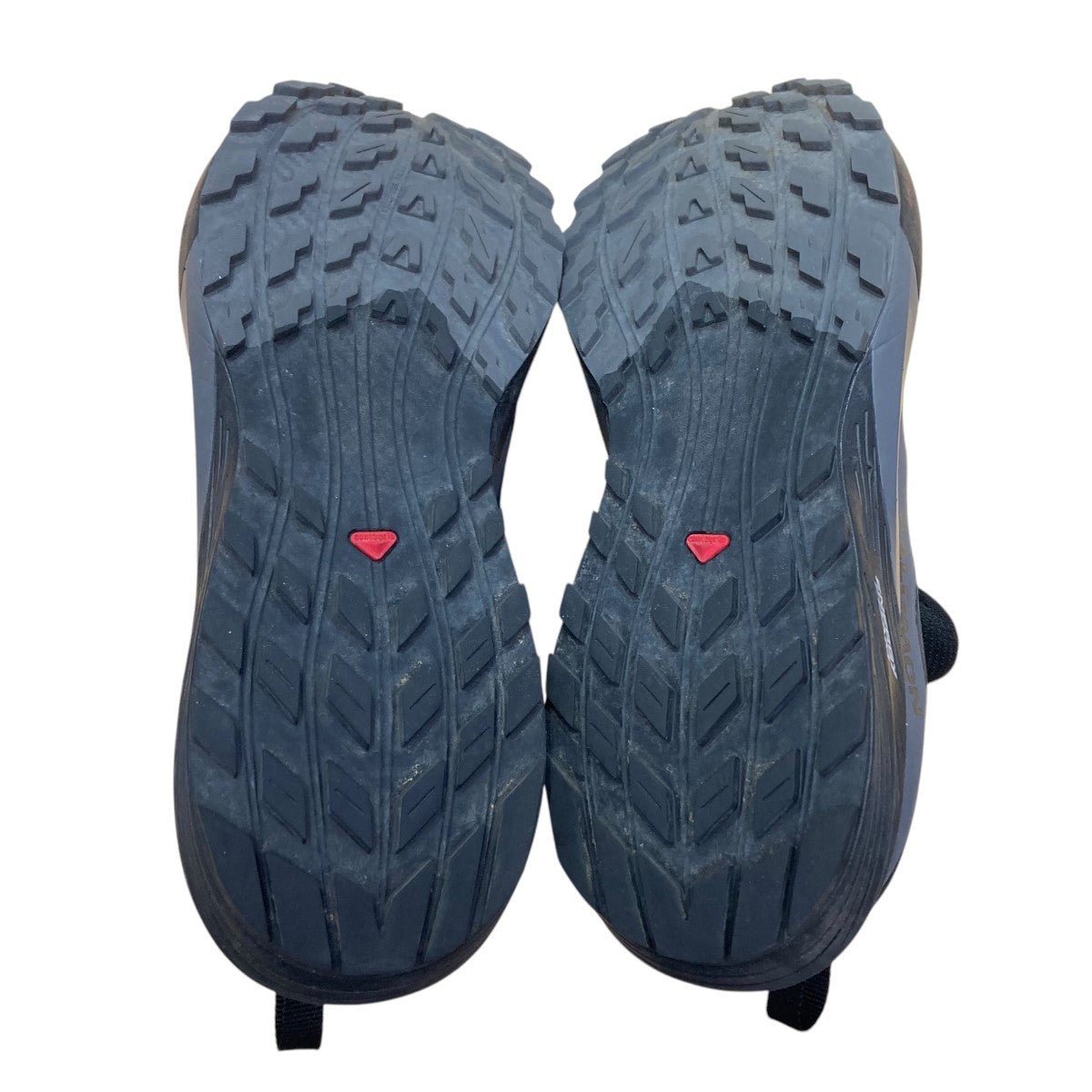 SALOMON(サロモン) SENSE RIDE 5 GTXローカットスニーカー471472