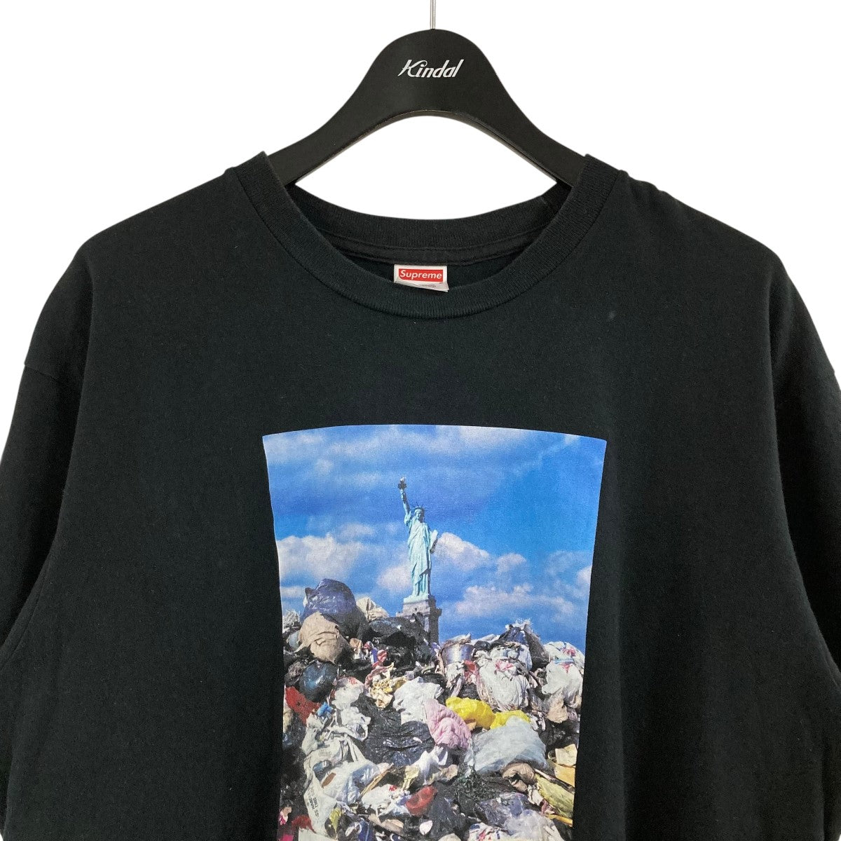 SUPREME　自由の女神　Mサイズ 新品 19AW SUPREME × THE NORTH FACE Statue of Liberty