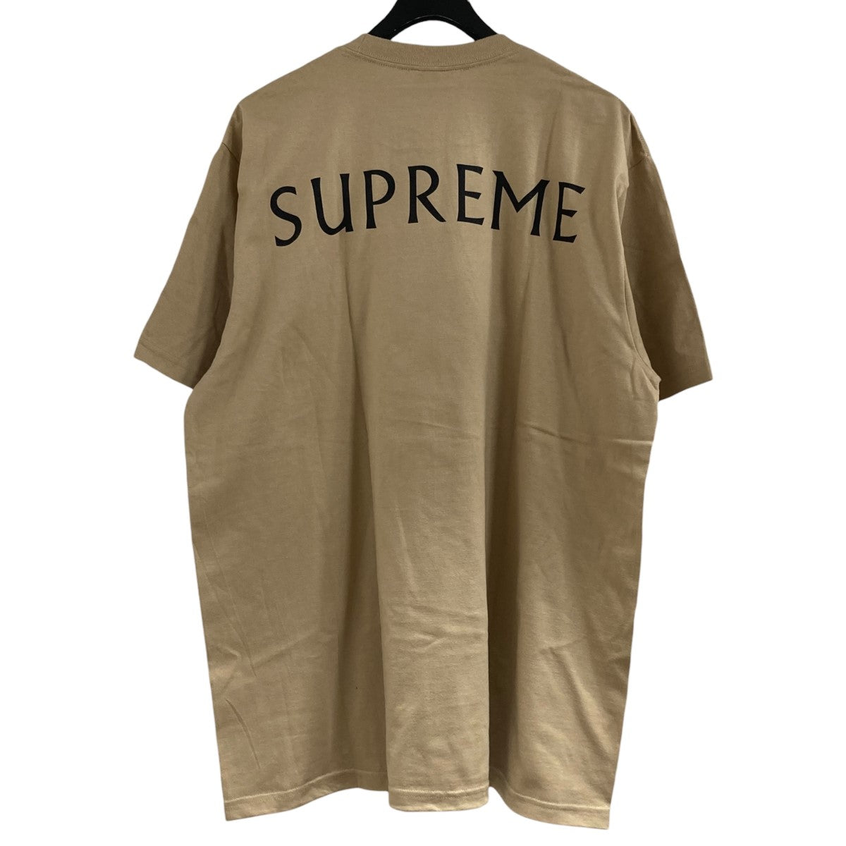Supreme 25SSDAMIEN HIRST TEE半袖Tシャツ 古着・中古-3枚目のアイテム画像