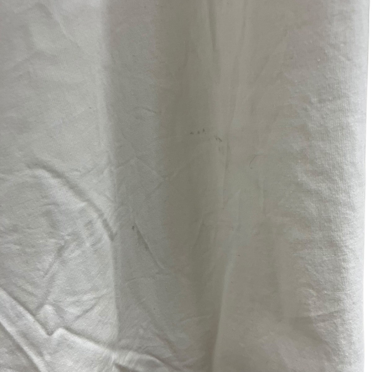 FOG ESSENTIALS バックロゴ半袖Tシャツ 古着・中古-5枚目のアイテム画像