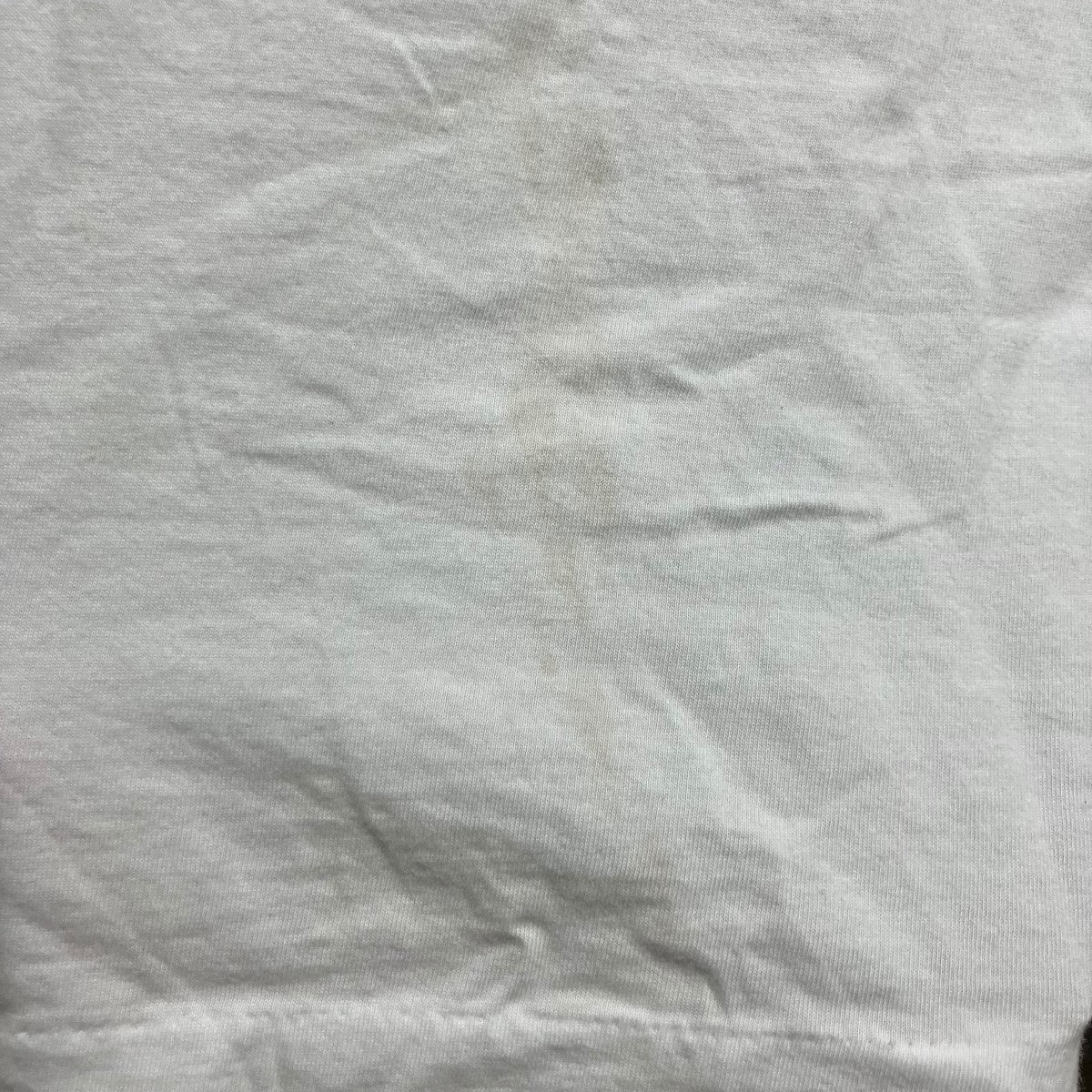 COMME des GARCONS HOMME PLUS オーバーサイズフラワー刺繍Tシャツ 古着・中古-3枚目のアイテム画像
