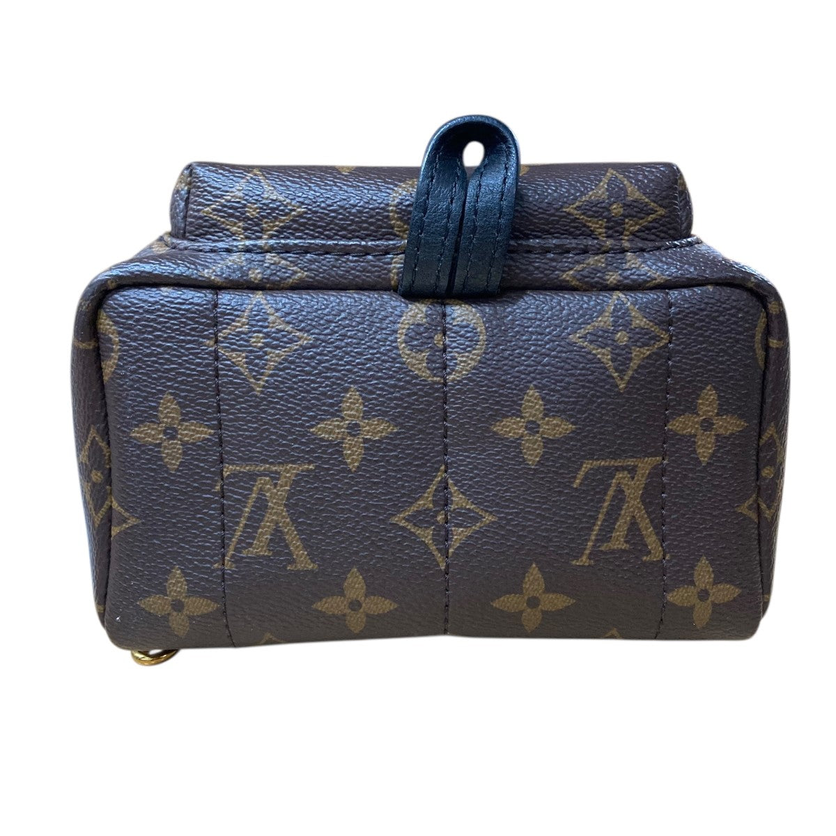 LOUIS VUITTON パームスプリングス バックパック ミニ リュック 古着・中古-5枚目のアイテム画像