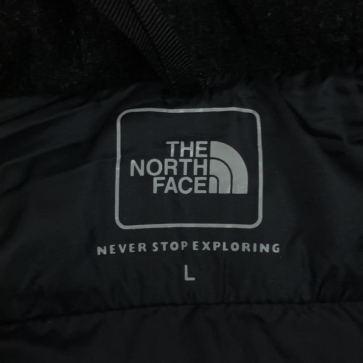 THE NORTH FACE RED RUN PRO HOODIEダウンジャケットNYW81874 古着・中古-5枚目のアイテム画像