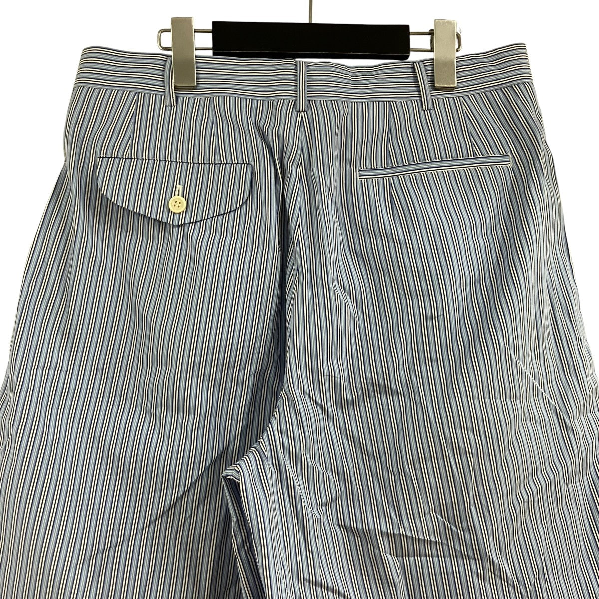 COMME des GARCONS HOMME PLUS ストライプショーツ 古着・中古-4枚目のアイテム画像