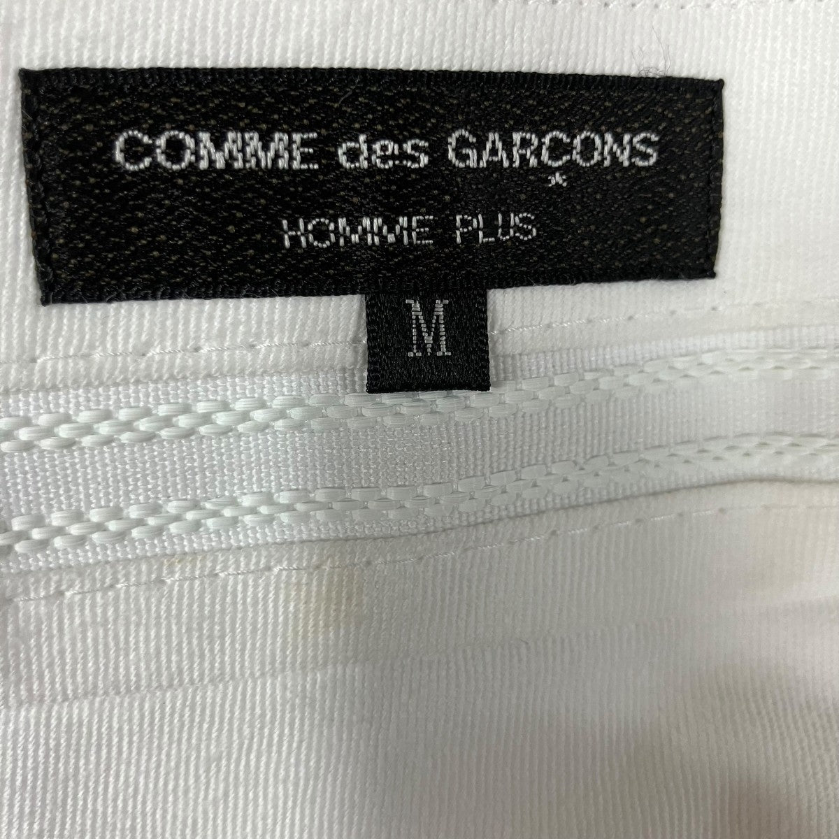 COMME des GARCONS HOMME PLUS ストライプショーツ 古着・中古-6枚目のアイテム画像