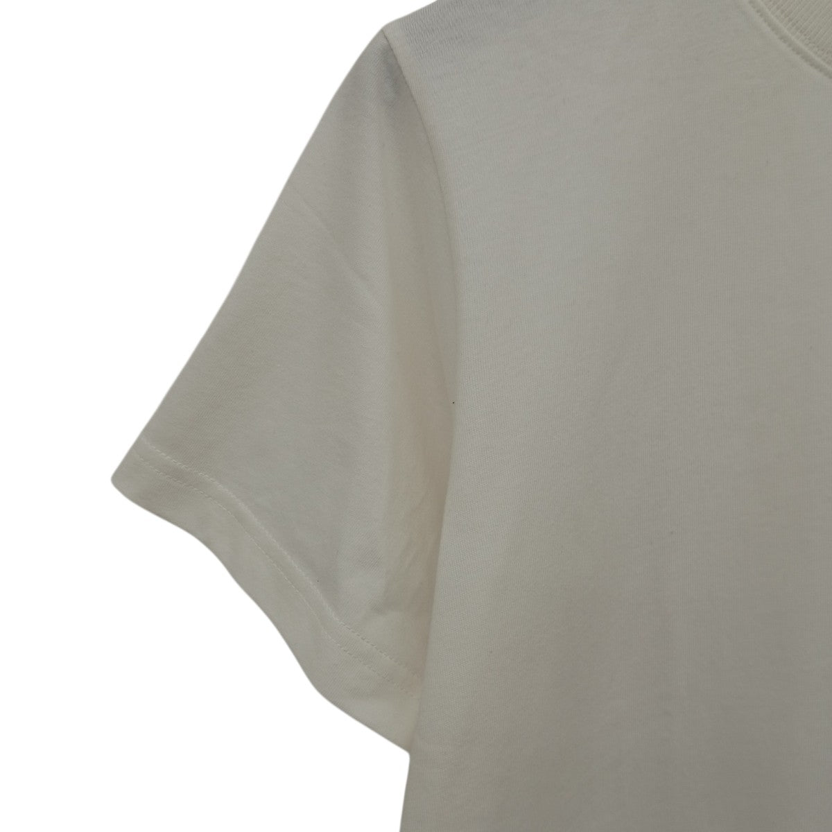 SIRLOIN TシャツTS-CL-01 古着・中古-6枚目のアイテム画像