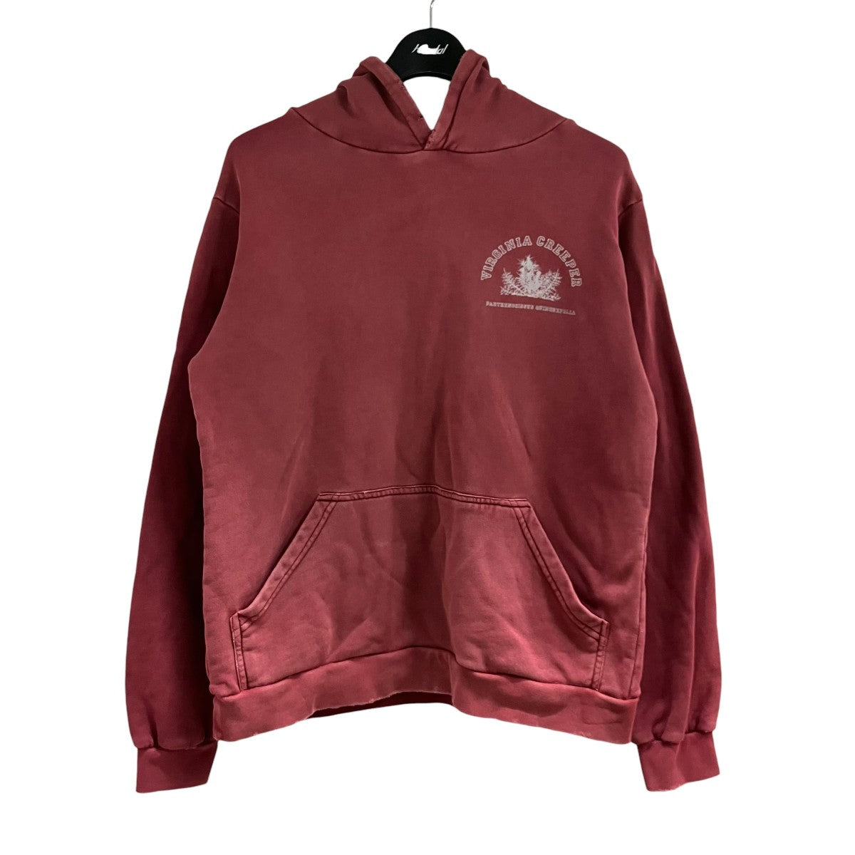 RAF SIMONS アーカイブ ヴァージニアクリーパー ダメージ加工プリントプルオーバーパーカー 古着・中古-1枚目のアイテム画像