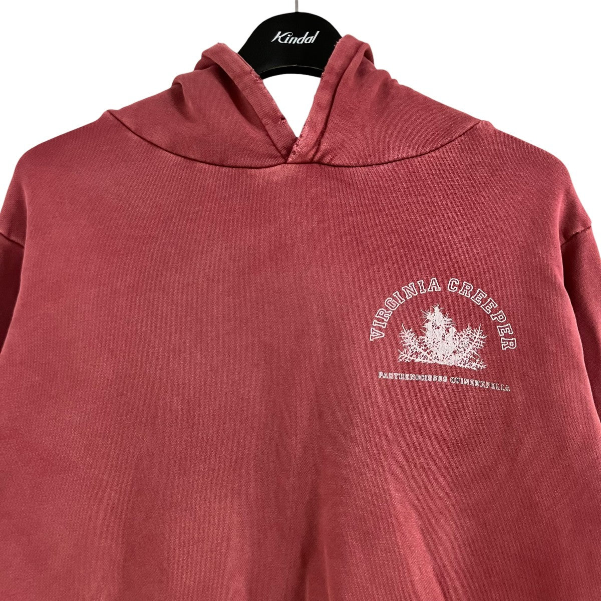 RAF SIMONS アーカイブ ヴァージニアクリーパー ダメージ加工プリントプルオーバーパーカー 古着・中古-2枚目のアイテム画像