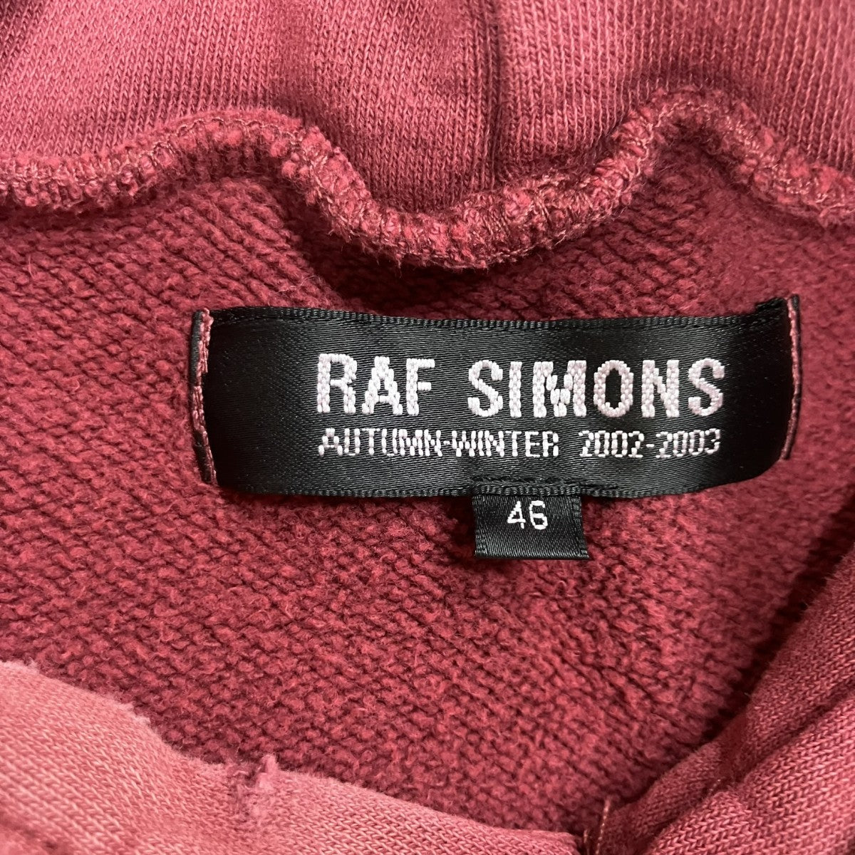 RAF SIMONS アーカイブ ヴァージニアクリーパー ダメージ加工プリントプルオーバーパーカー 古着・中古-5枚目のアイテム画像
