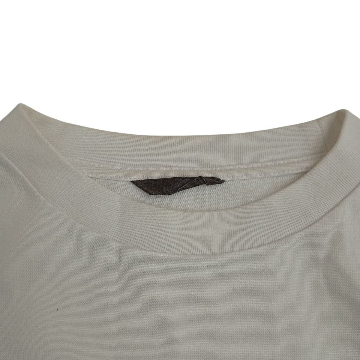 TシャツT01-21S