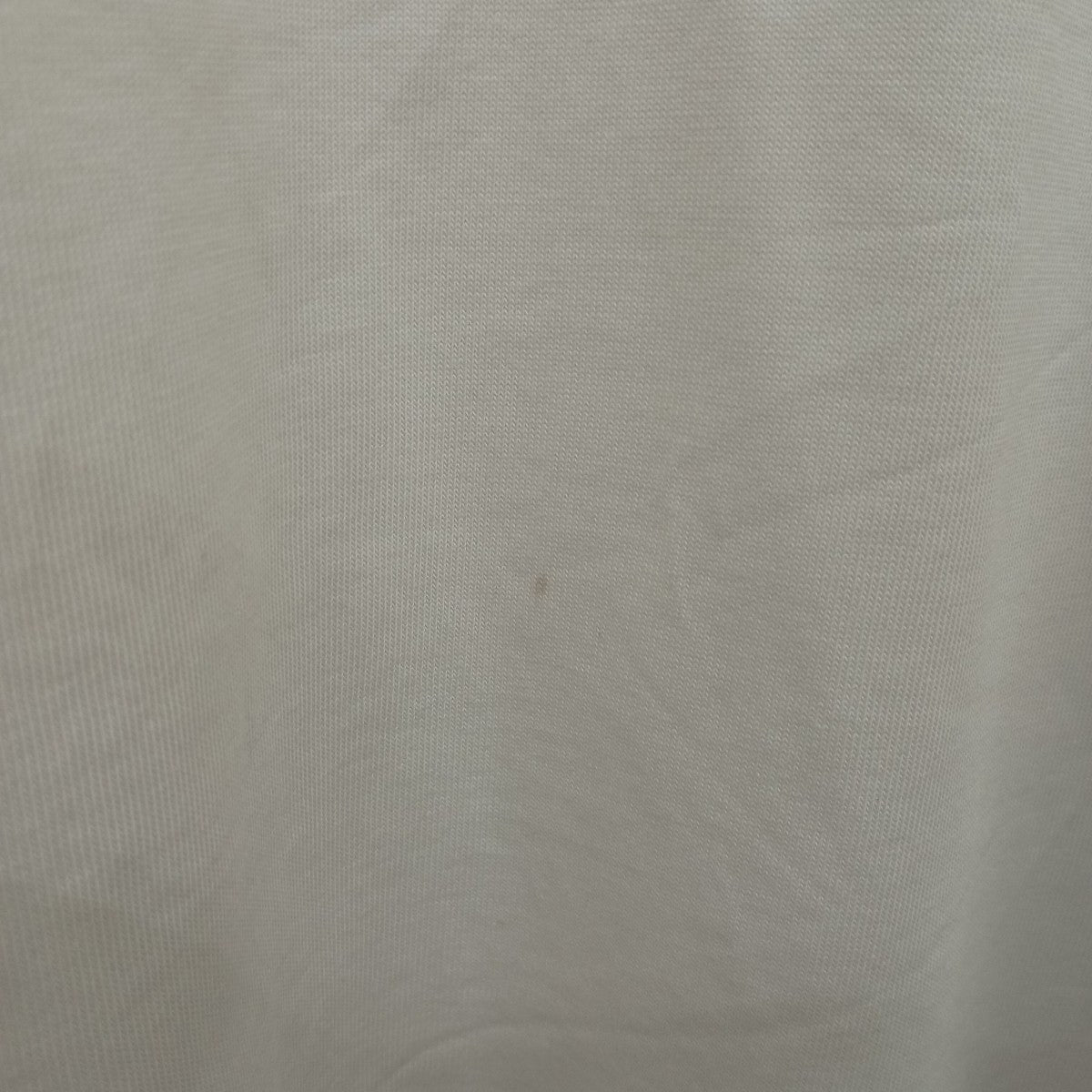 TシャツT01-21S