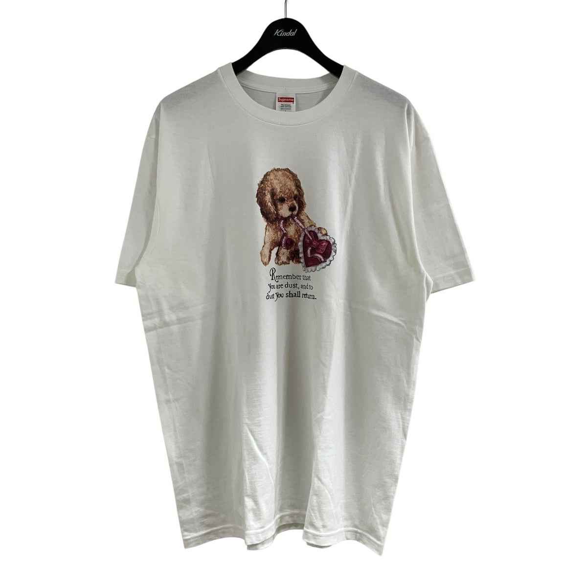 ダストTシャツ