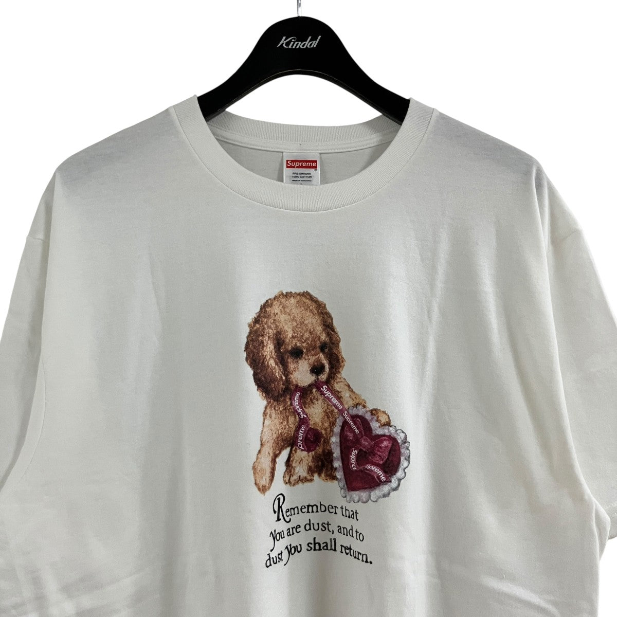 ダストTシャツ